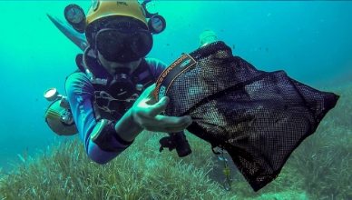 Diver cleaning underwater