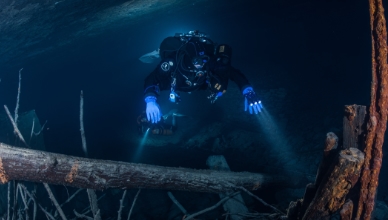 Diver in a wreck