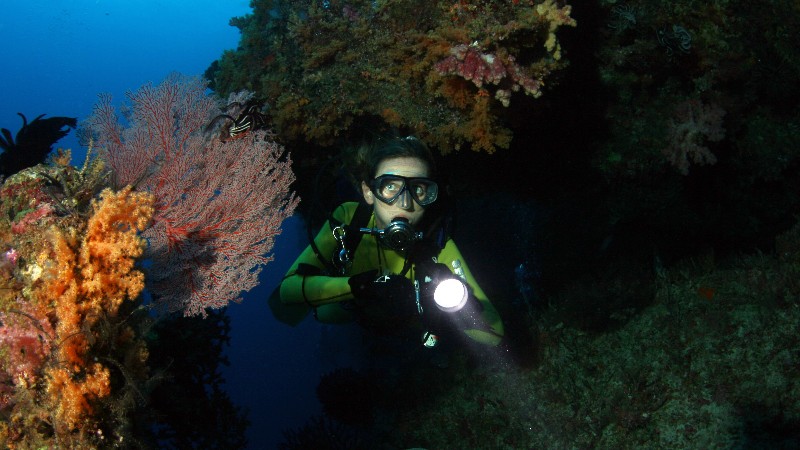 Image of ISE Foundations (Recreational)