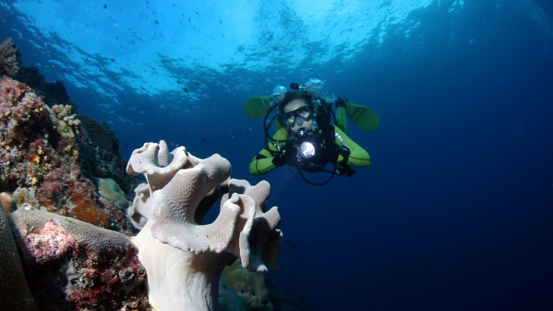 Image of Workshop Buoyancy and Propulsions