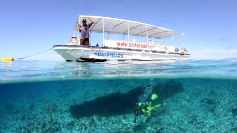 Image of ISE Openwater Diver