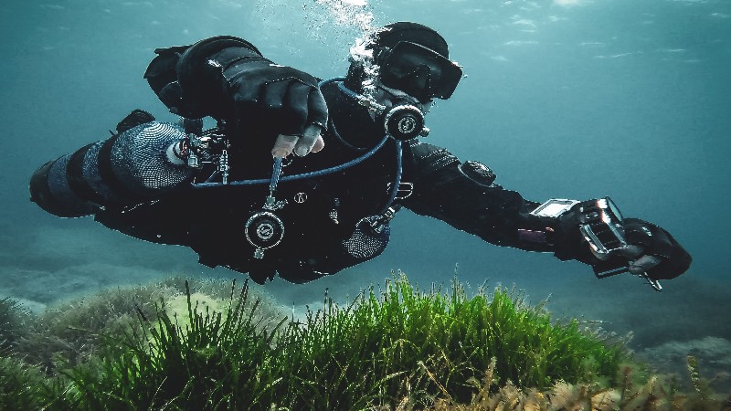 Image of Checkout Dive
