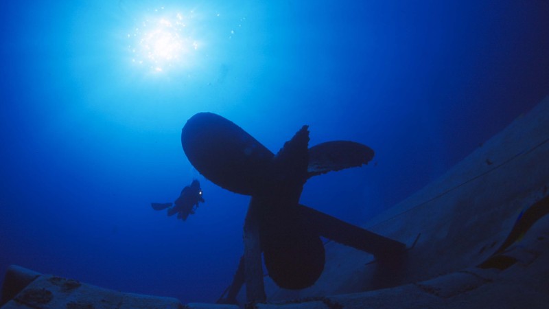 Image of Wreck Experience