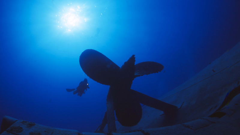 Image of Wreck Experience