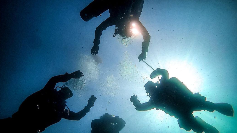 Image of ISE Training Assistant