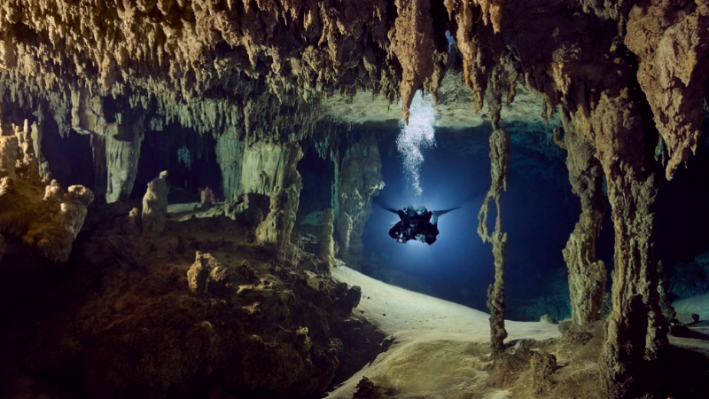 Image of Cave Explorer Level 1