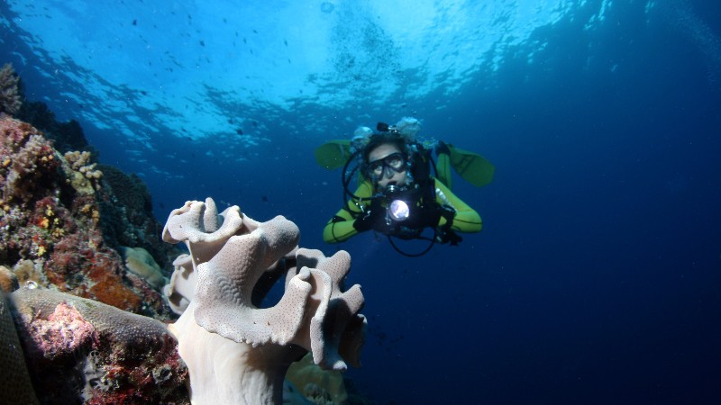 Image of Workshop Deep Blue