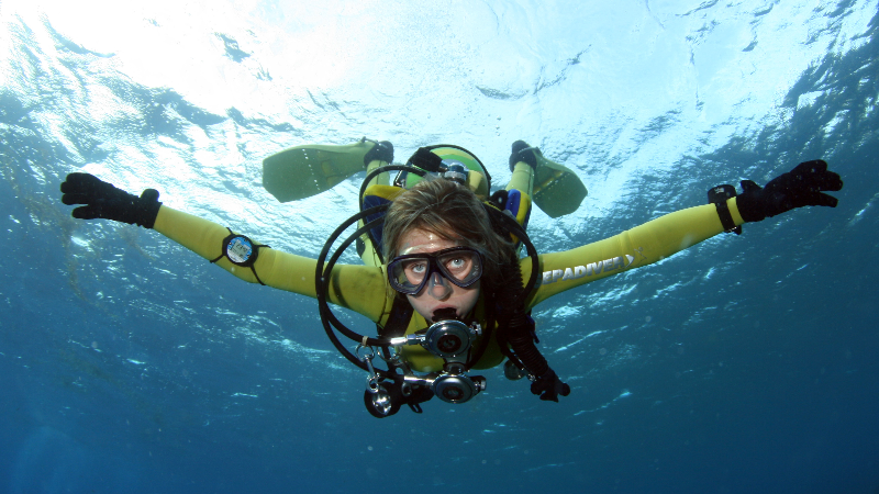 Image of ISE Tune-Up (Eco diver)