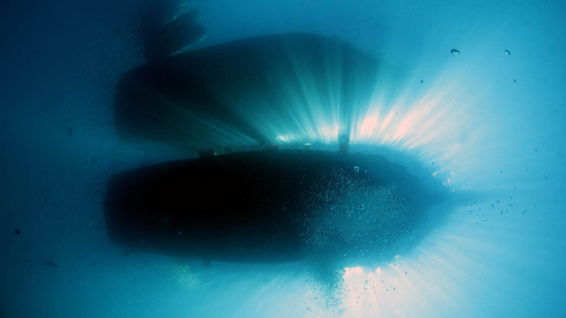 Image of Dive Basics for Boat Owners