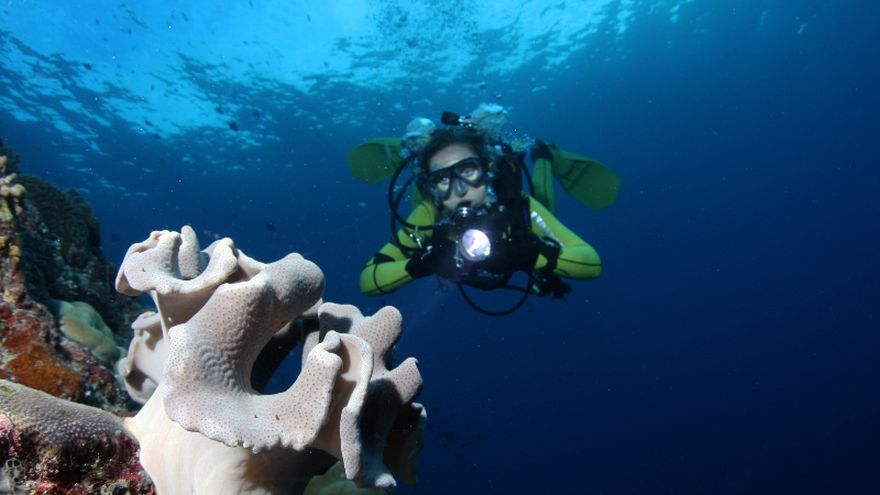 Image of Recreational Diver Level 1