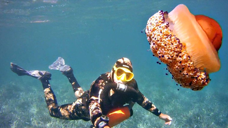 Image of Oxygen Rebreather Course