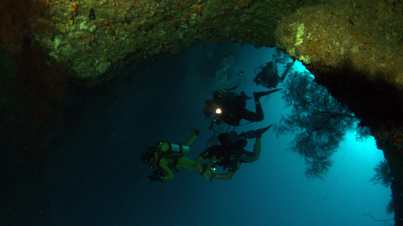 Image of Recreational Diver Level 2