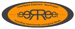 Project REEF logo