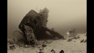 video preview image